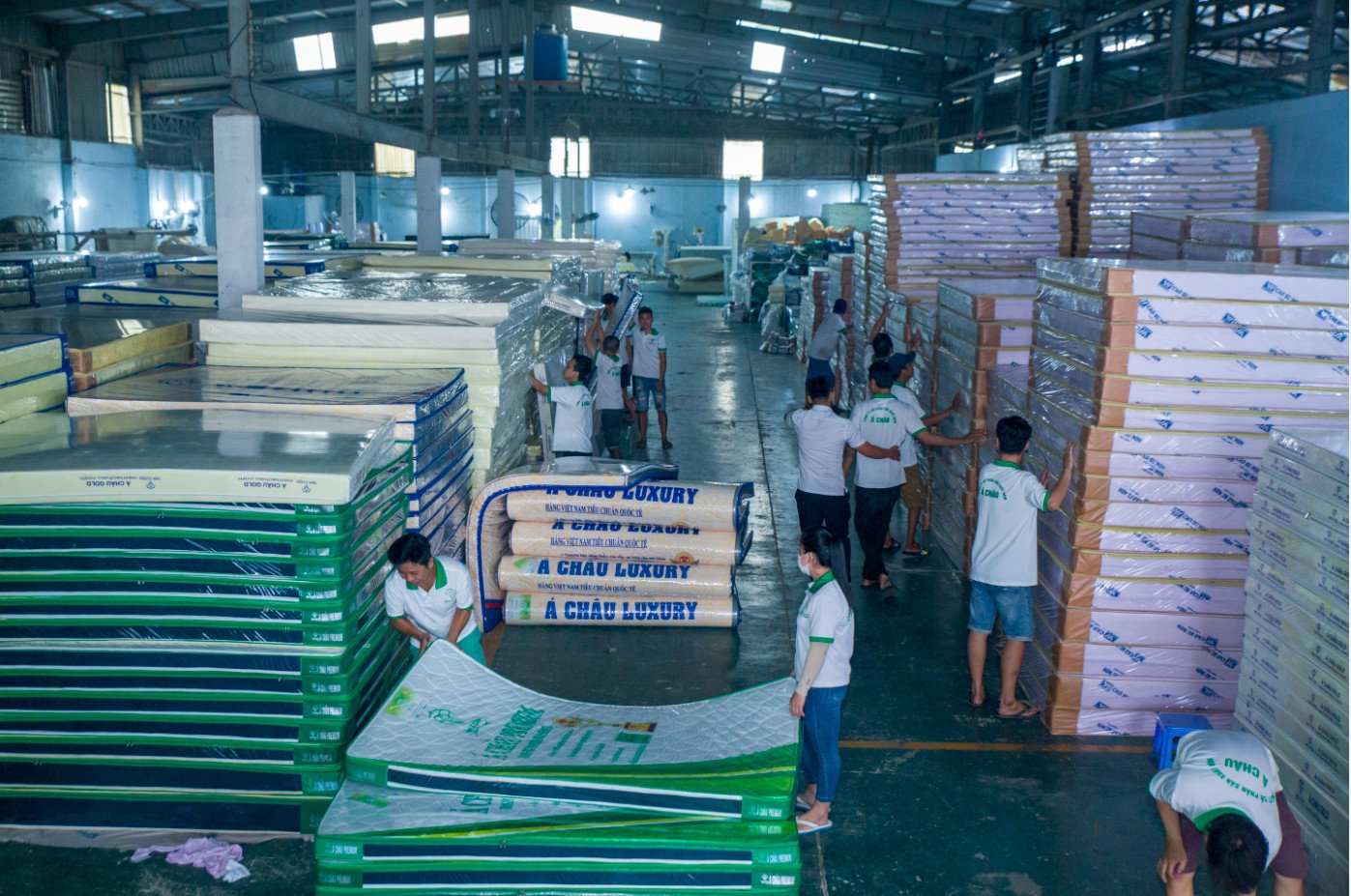 Hình ảnh kho Nệm Á Châu 6