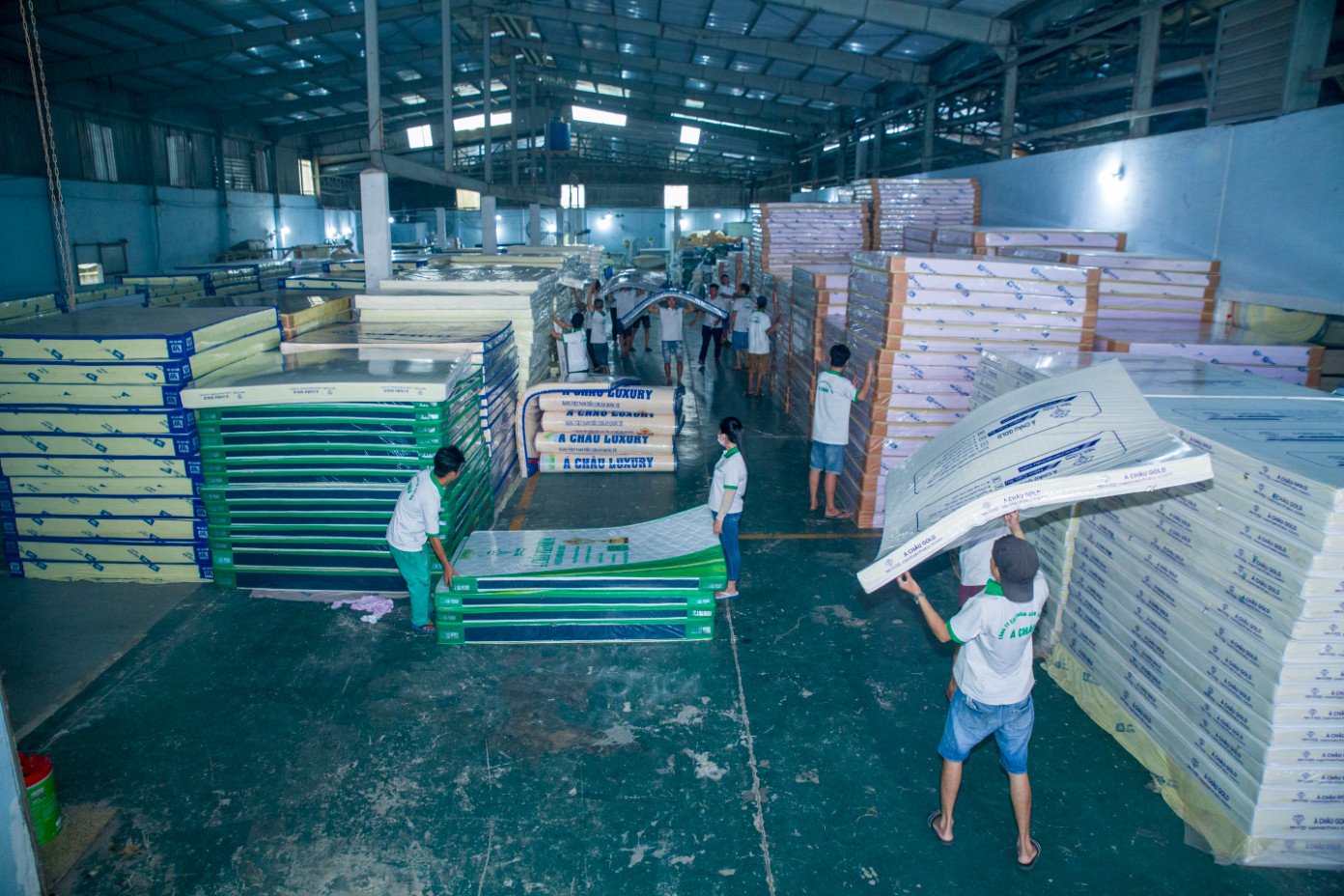 Hình ảnh kho Nệm Á Châu 7