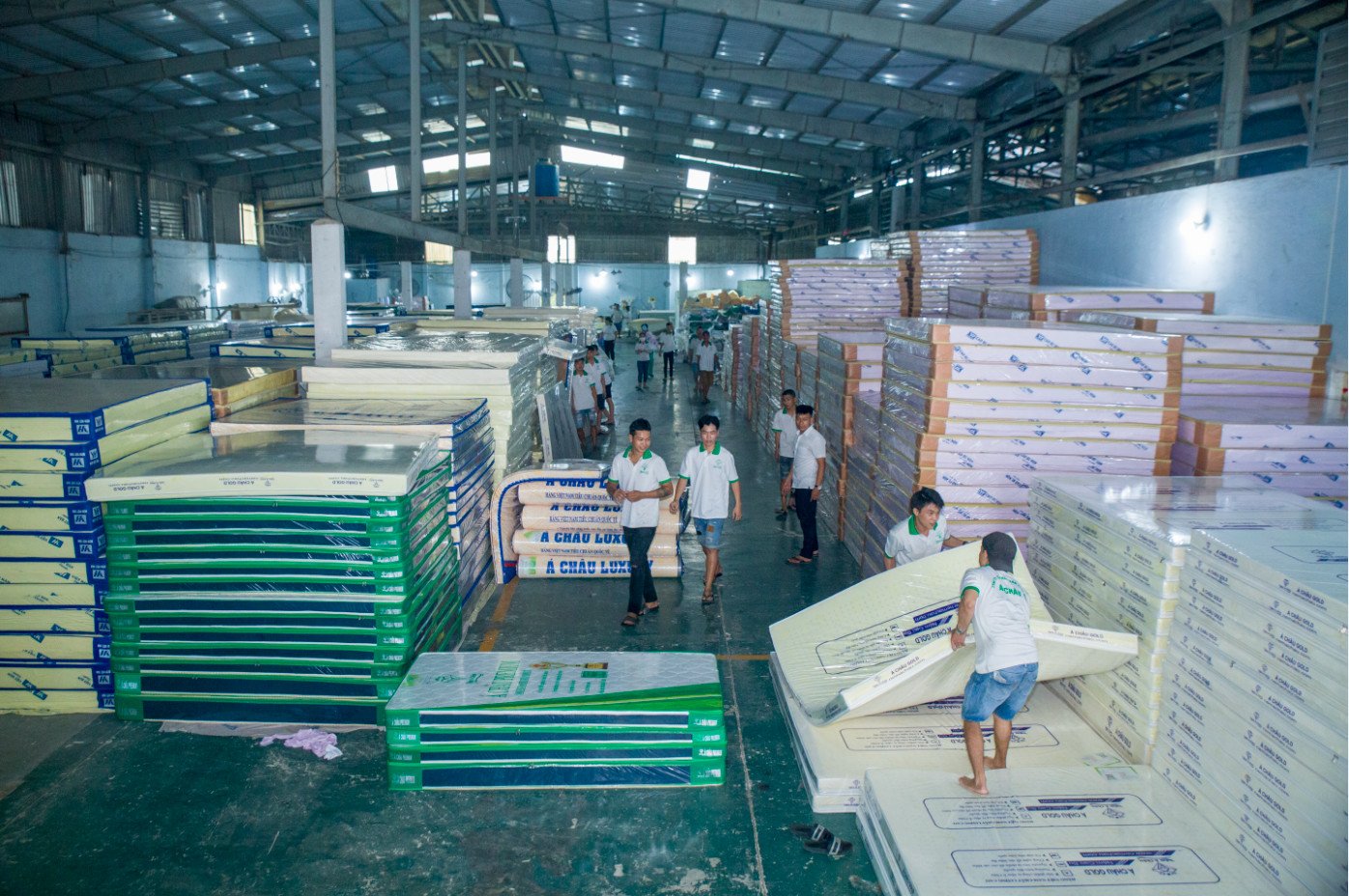 Hình ảnh kho Nệm Á Châu 8