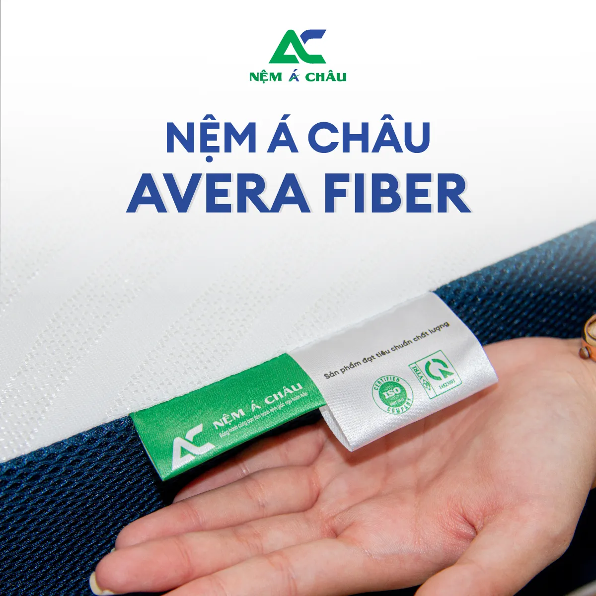 Chi tiết sản phẩm - Nệm Á Châu Avera Fiber 7