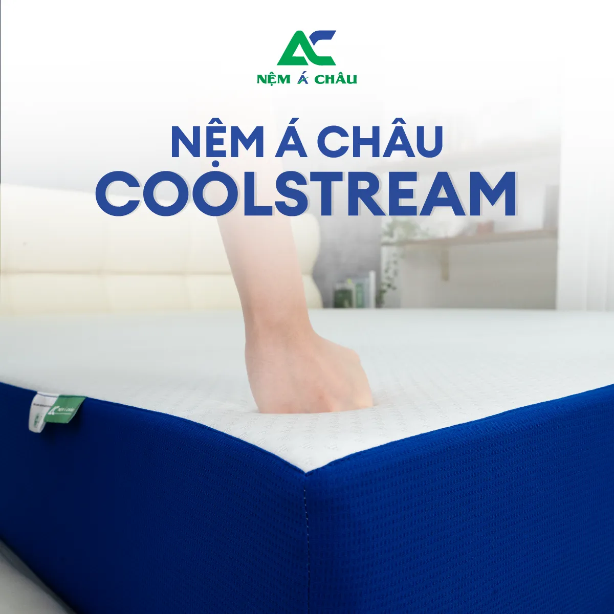 Chi tiết sản phẩm - Nệm Á Châu Coolstream 12