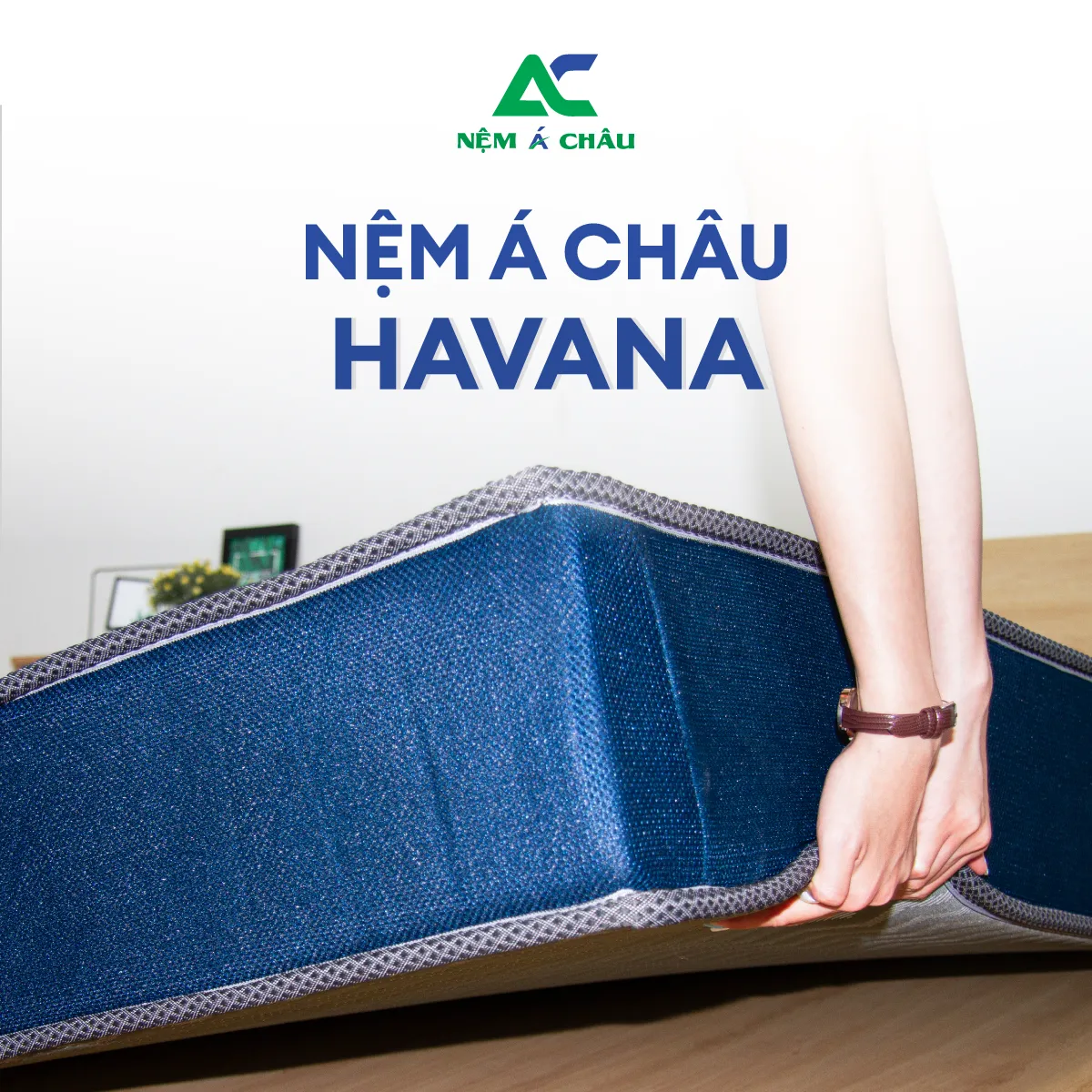 Chi tiết sản phẩm - Nệm Foam Á Châu Havana 9