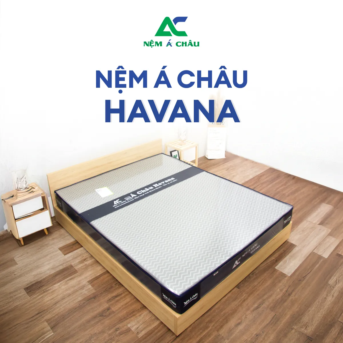 Chi tiết sản phẩm - Nệm Foam Á Châu Havana 3