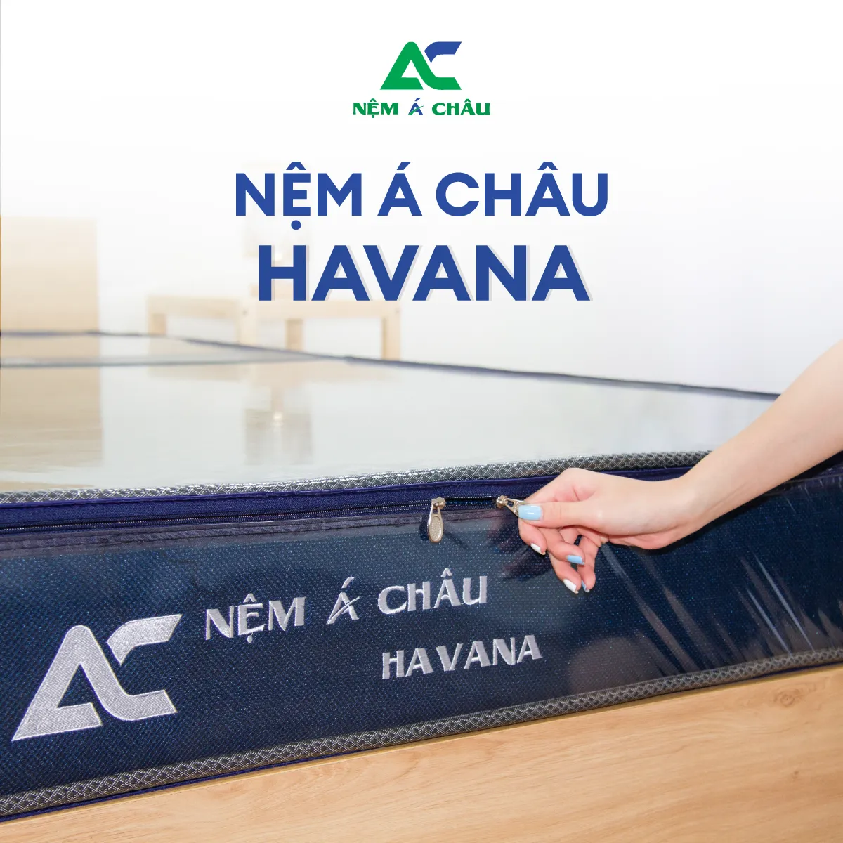 Chi tiết sản phẩm - Nệm Foam Á Châu Havana 7
