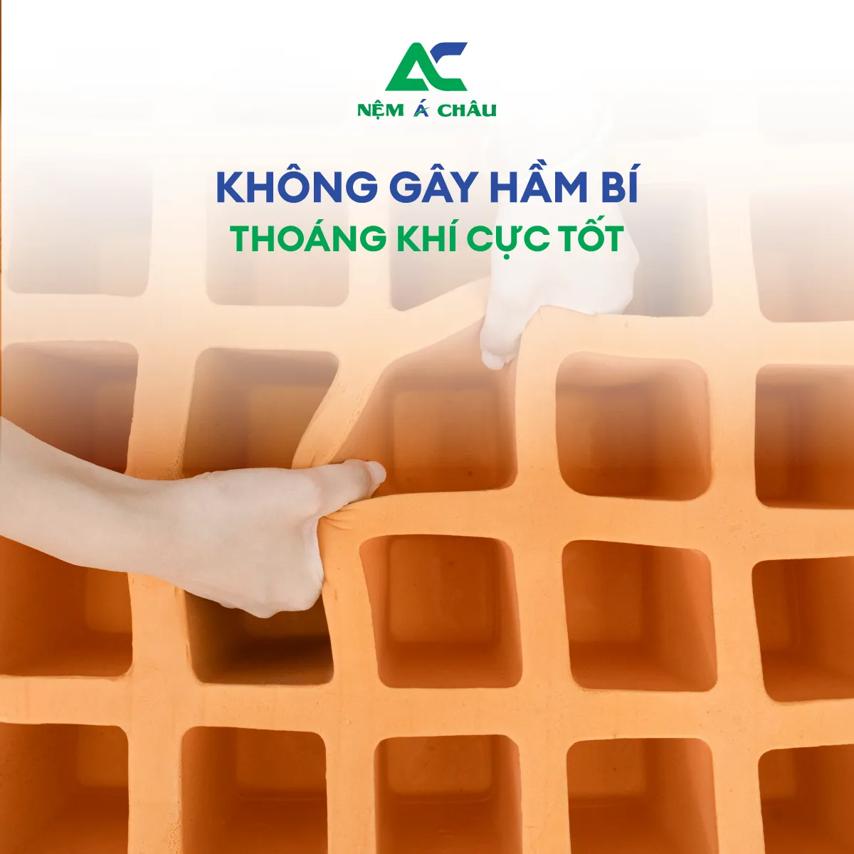 Chi tiết sản phẩm - Nệm Cao Su Thiên Nhiên Á Châu Latex 0