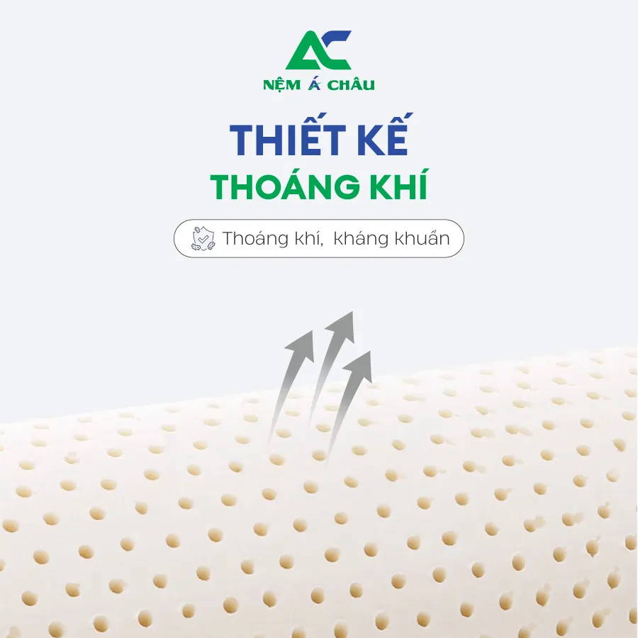 Chi tiết sản phẩm - Gối Ôm Cao Su Thiên Nhiên Á Châu 3