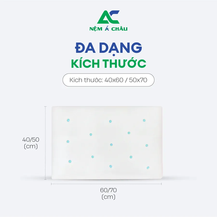 Chi tiết sản phẩm - Gối Cao Su Non Á Châu 1
