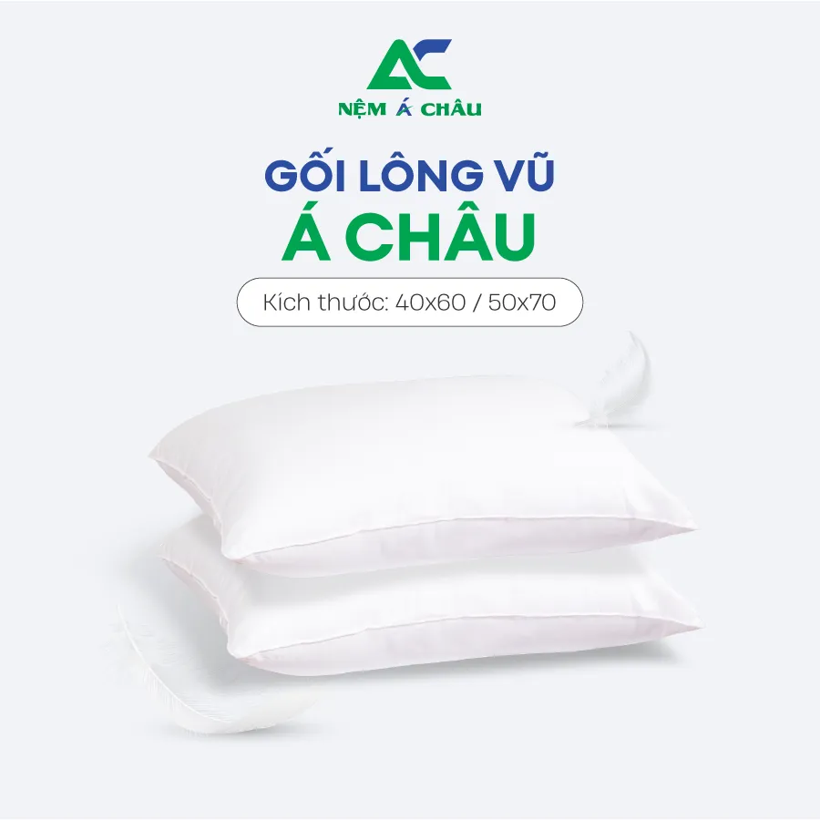 Chi tiết sản phẩm - Gối Lông Vũ Á Châu 0