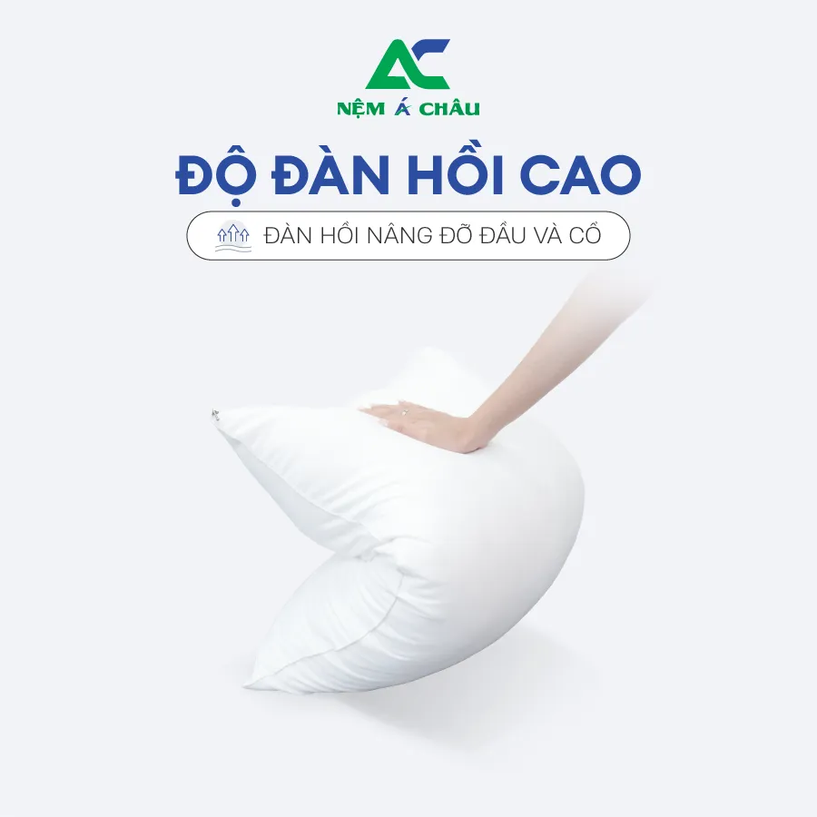 Chi tiết sản phẩm - Gối Lông Vũ Á Châu 3