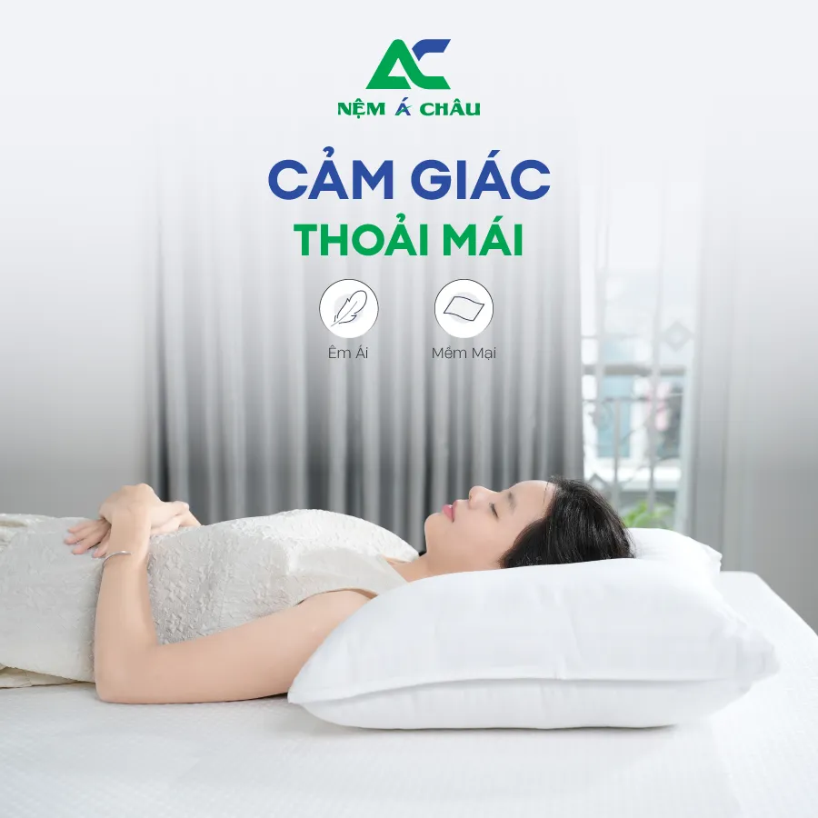 Chi tiết sản phẩm - Gối Lông Vũ Á Châu 4