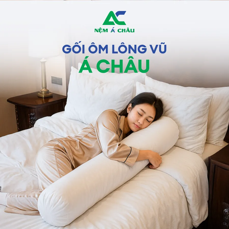 Chi tiết sản phẩm - Gối Ôm Lông Vũ Á Châu 6