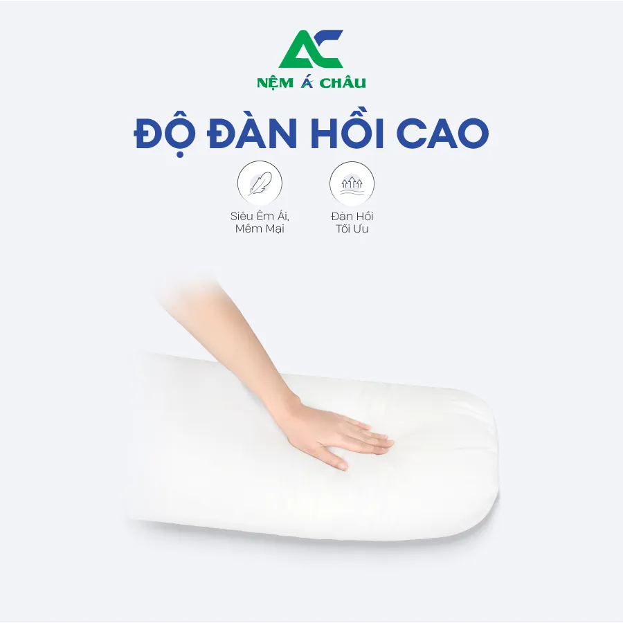 Chi tiết sản phẩm - Gối Ôm Lông Vũ Á Châu 1