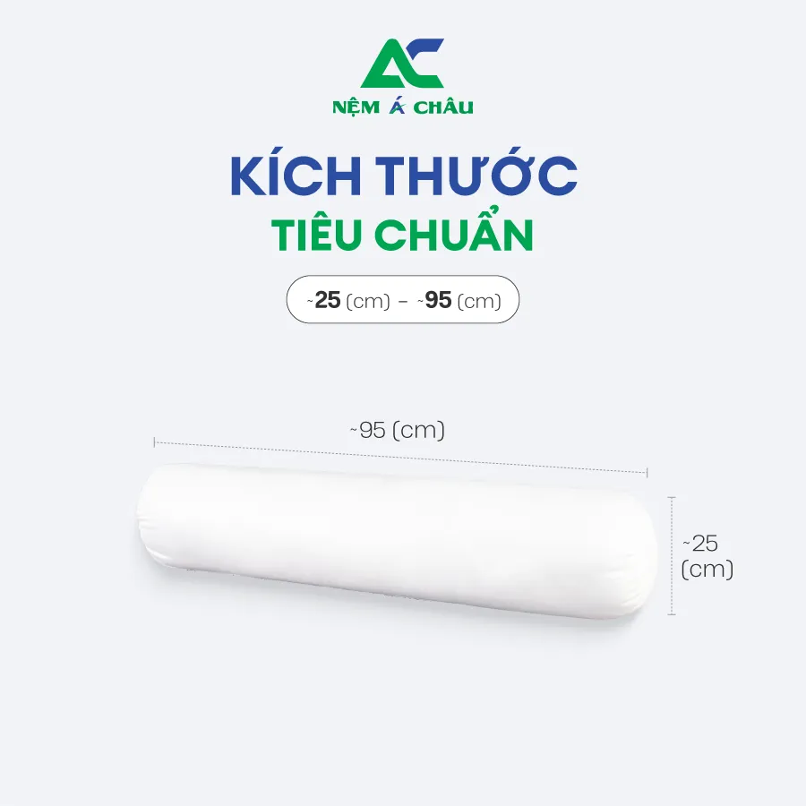 Chi tiết sản phẩm - Gối Ôm Lông Vũ Á Châu 2