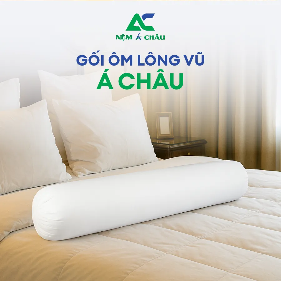 Chi tiết sản phẩm - Gối Ôm Lông Vũ Á Châu 5