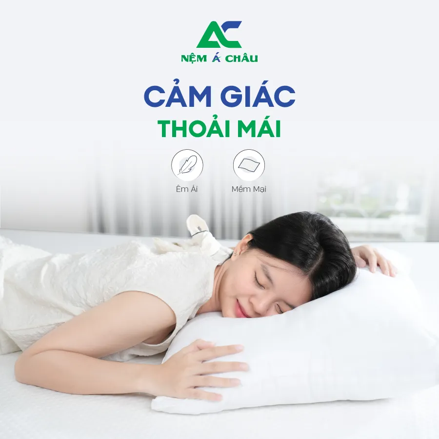 Chi tiết sản phẩm - Gối Bông Gòn Á Châu 4