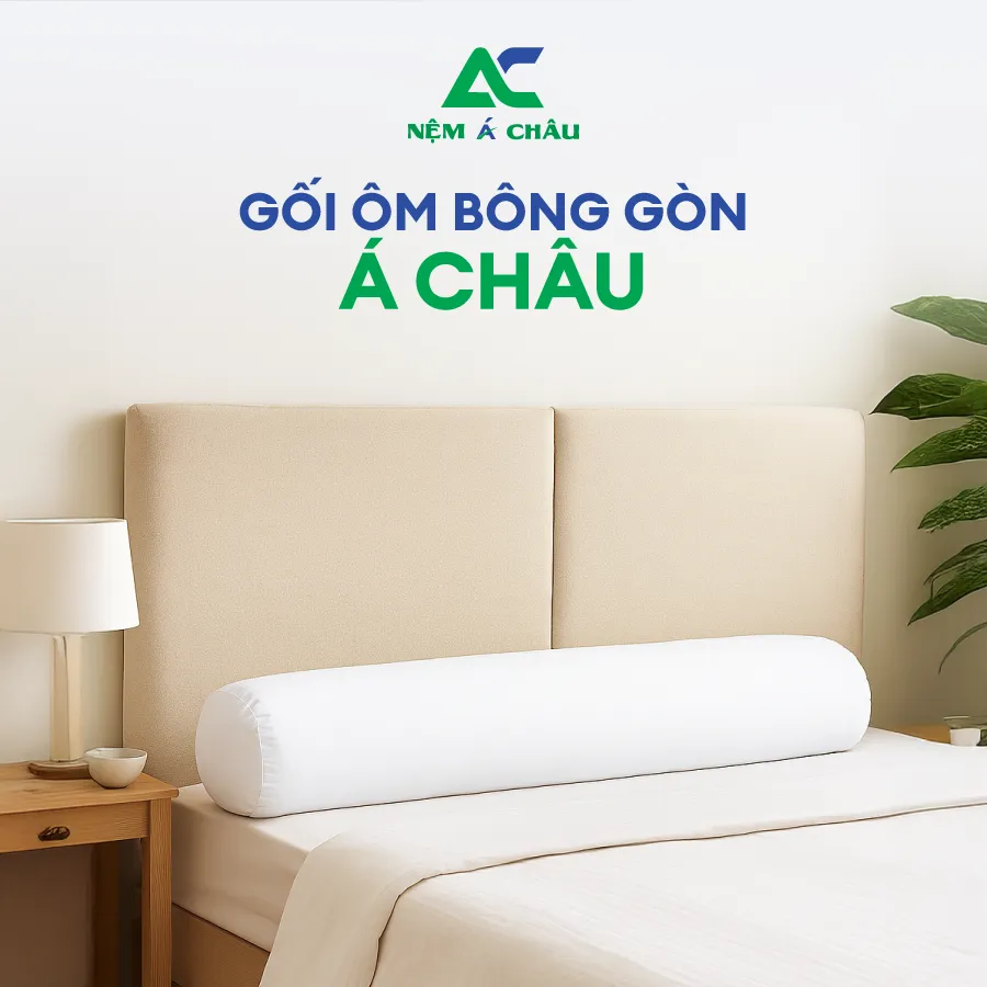 Chi tiết sản phẩm - Gối Ôm Bông Gòn Á Châu 6