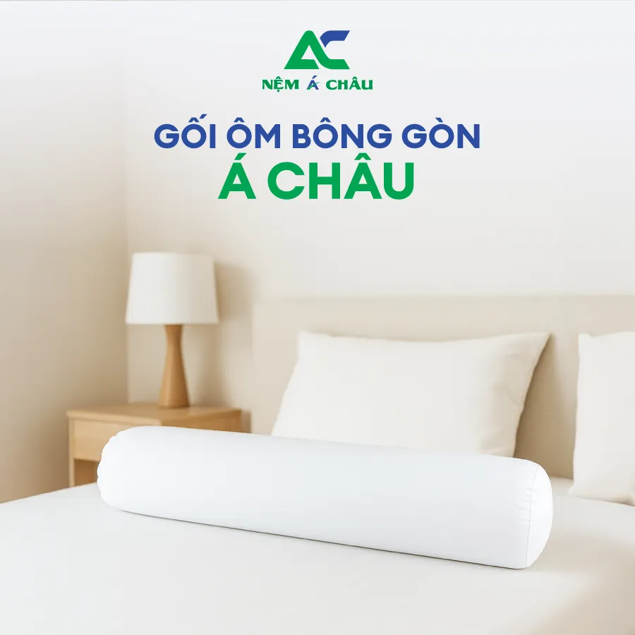 Chi tiết sản phẩm - Gối Ôm Bông Gòn Á Châu 5