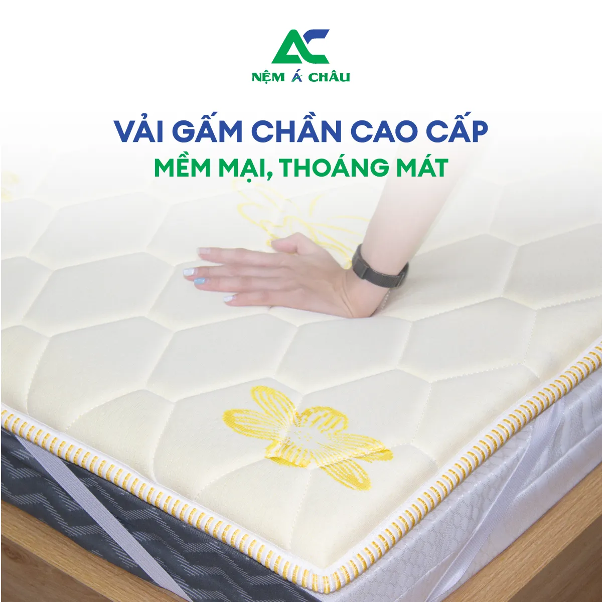 Chi tiết sản phẩm - Topper Á Châu 1