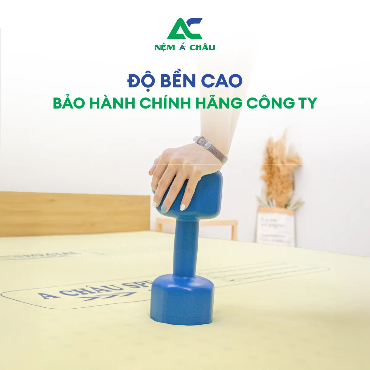 Chi tiết sản phẩm - Nệm Foam Á Châu Special 2
